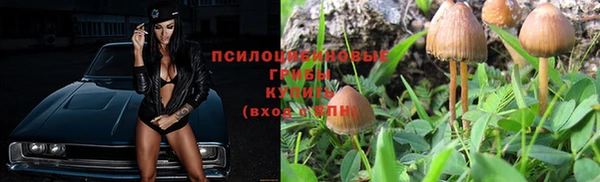 спиды Зерноград