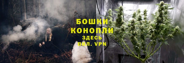 альфа пвп Заводоуковск