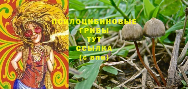 сатива Зеленодольск