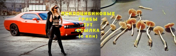 альфа пвп Заводоуковск