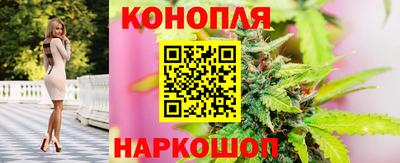 СК Канаш