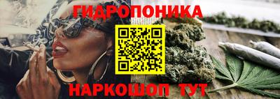 дурь Камышлов