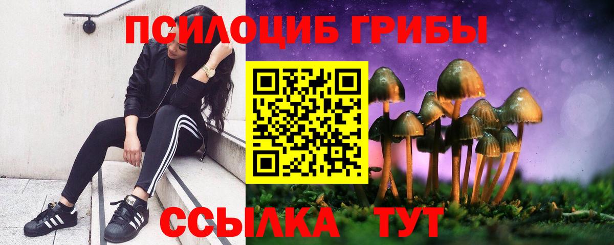 Галлюциногенные грибы ЛСД Камышлов