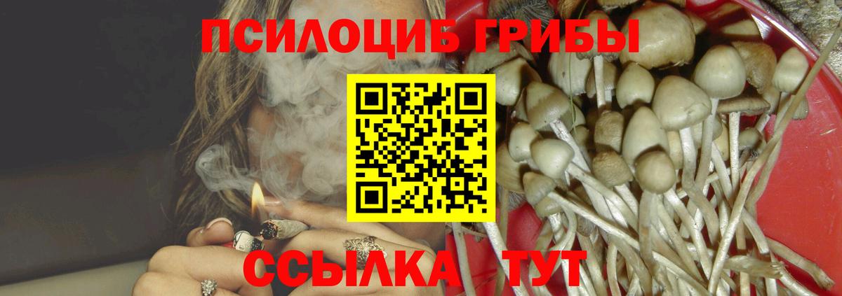 закладка  Галлюциногенные грибы прущие грибы  Псилоцибиновые грибы прущие грибы  Вход с VPN  Камышлов 